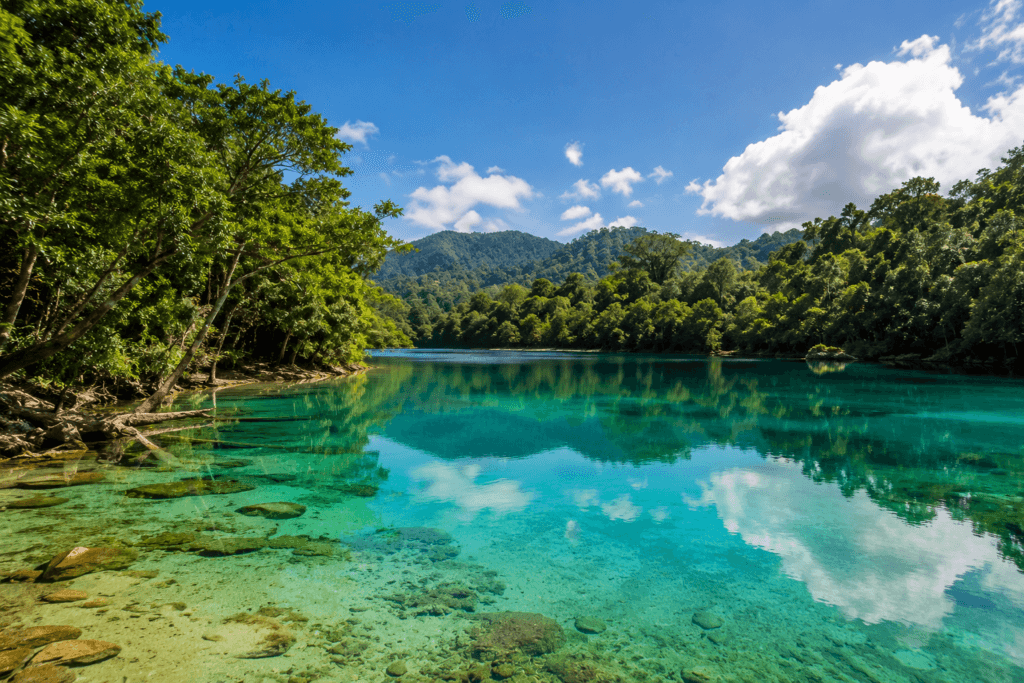 Danau Paisupok: Air Sebening Kaca di Tengah Hutan