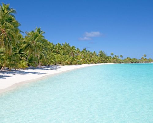 beach, island, nature, ocean, sea, seascape, seashore, palm trees, water, paradise, tropical, tropical island, sand, sandy beach, white sand