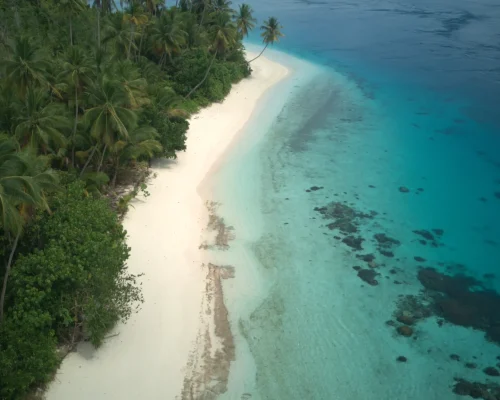 DJI_20251205093600_0286_D