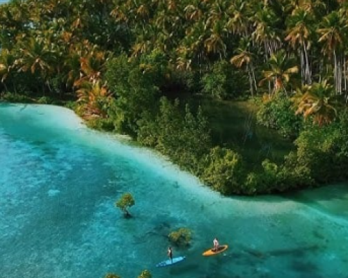 Screenshot 2026-02-04 223253