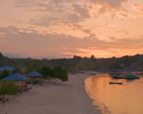 Screenshot 2026-02-04 223546