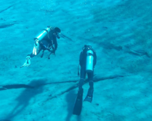 Screenshot 2026-02-07 101732