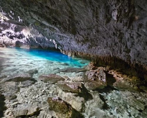 WhatsApp Image 2026-01-13 at 20.04.41